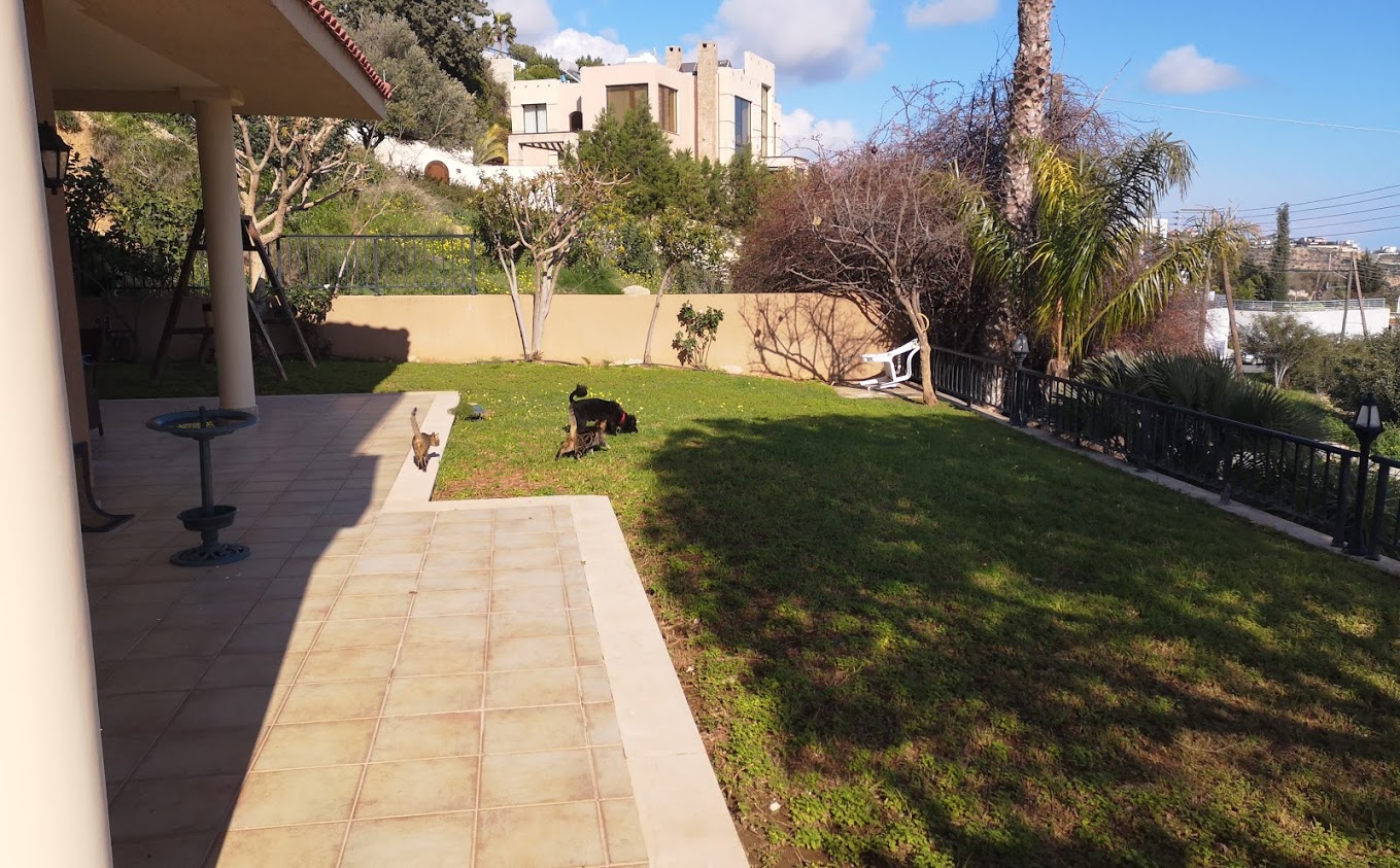 Garden